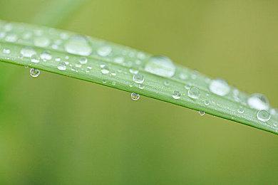 《匹诺曹的谎言》DLC“序曲”中文剧情宣传片