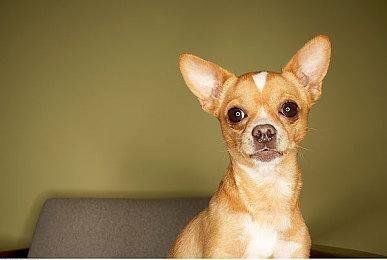 《夜族崛起》销量突破300万 今年推出大型免费扩展包